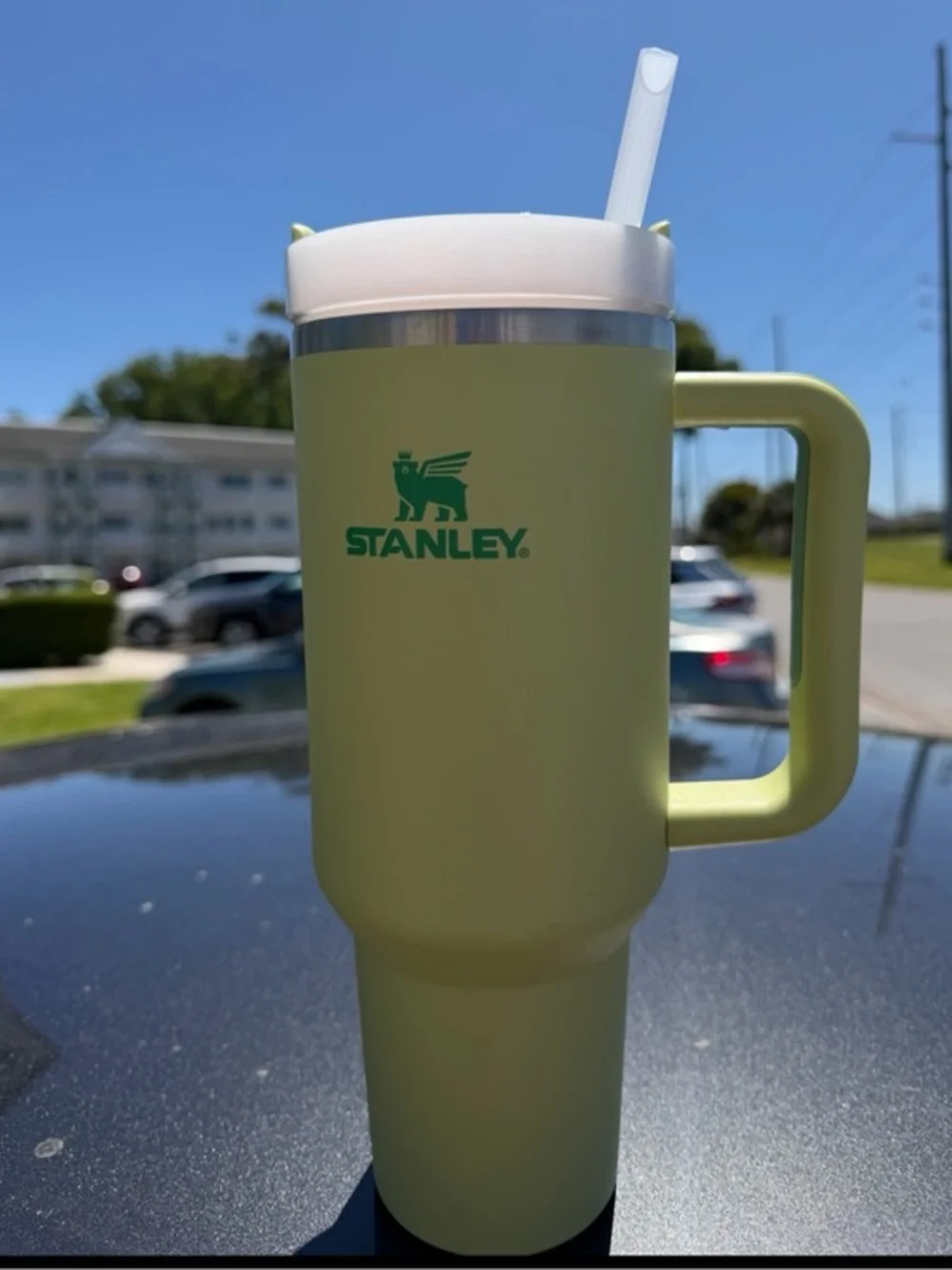 Stanley Olive Green Travel Mug with White Lid and Straw 40 oz brand new
